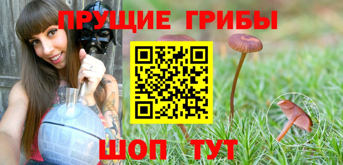 наркошоп  Вход с VPN  Галлюциногенные грибы Cubensis  Прокопьевск  Галлюциногенные грибы GOLDEN TEACHER 
